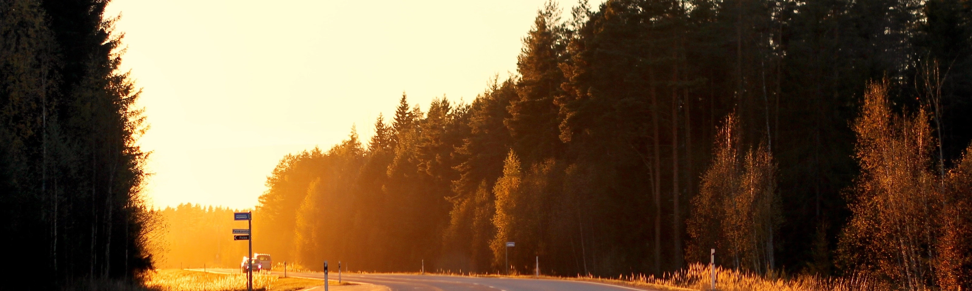 Curved country road at sunset, bordered by autumn trees and soft sunlight.
