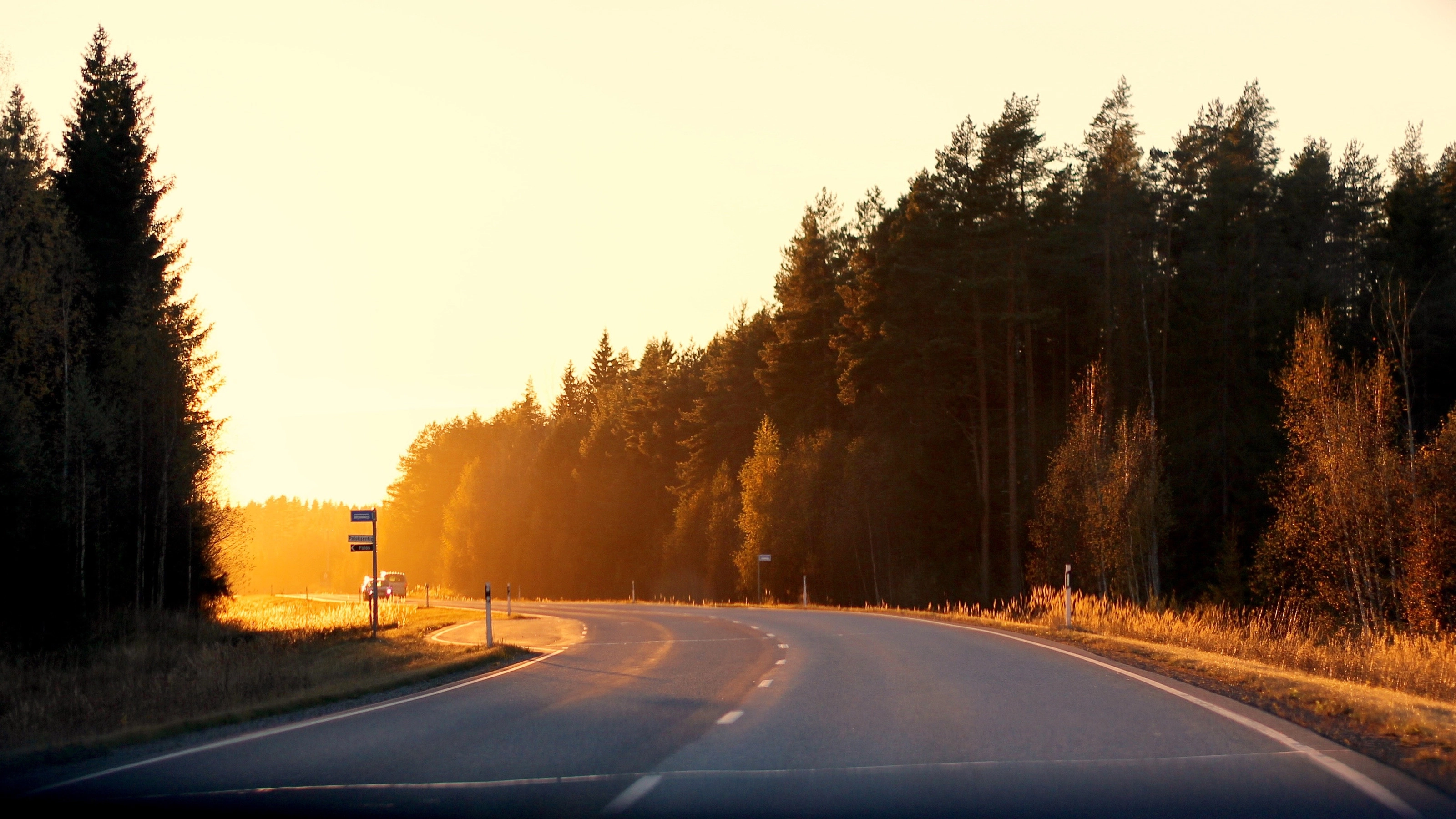 Curved country road at sunset, bordered by autumn trees and soft sunlight.