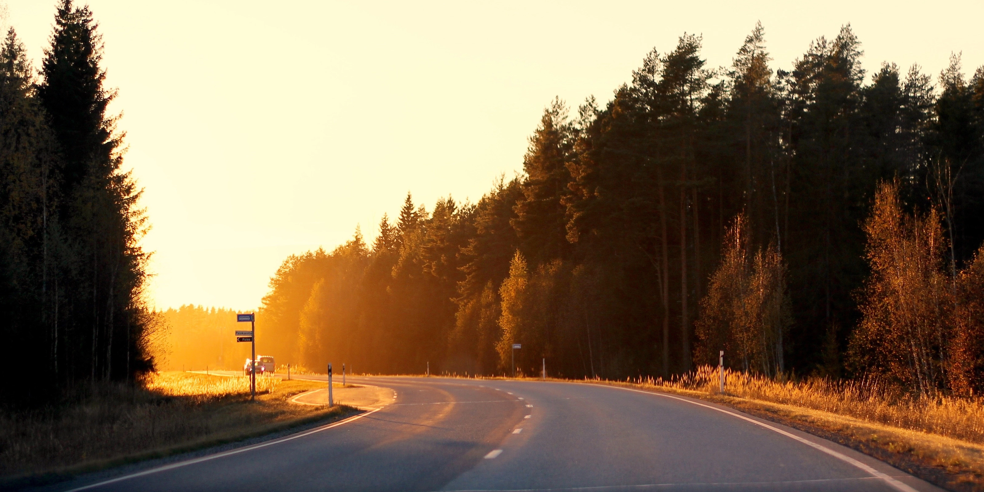 Curved country road at sunset, bordered by autumn trees and soft sunlight.