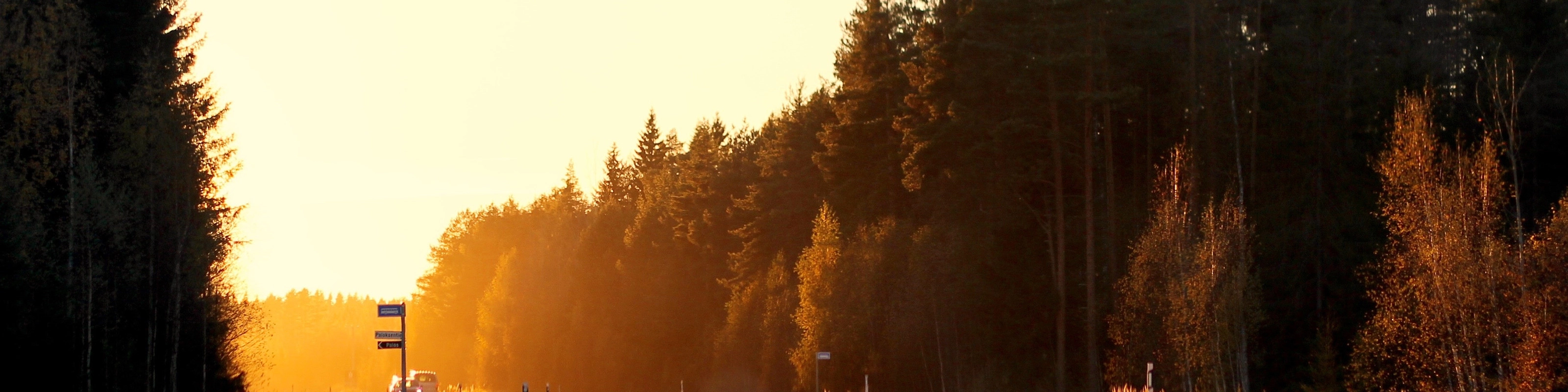 Curved country road at sunset, bordered by autumn trees and soft sunlight.