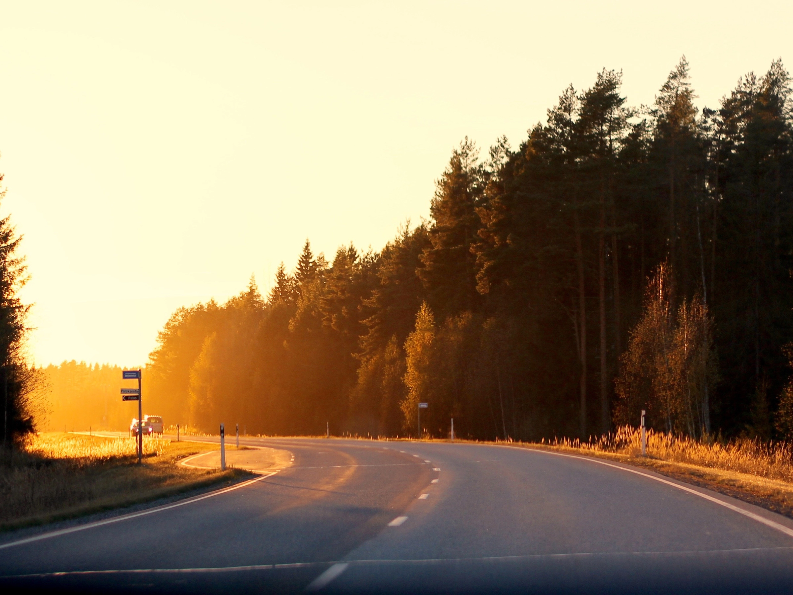 Curved country road at sunset, bordered by autumn trees and soft sunlight.