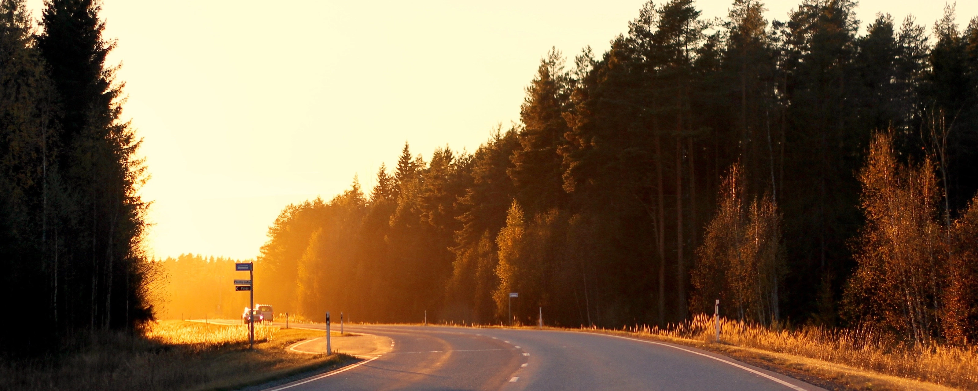 Curved country road at sunset, bordered by autumn trees and soft sunlight.